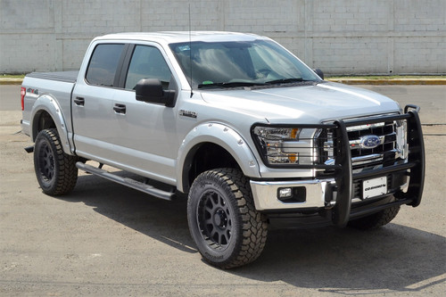 Go Rhino 3363B - 04-04 Ford F-150 3000 Series StepGuard - Black (Center Grille Guard Only)