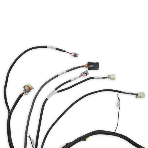 Holley EFI 558-134 - EFI LS Main Harness