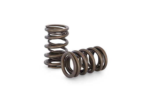 Kelford KVS22 - Pacaloy dual Valve Spring Set