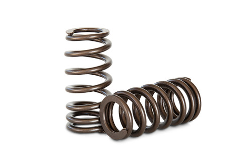 Kelford KVS40 - Race Valve Spring