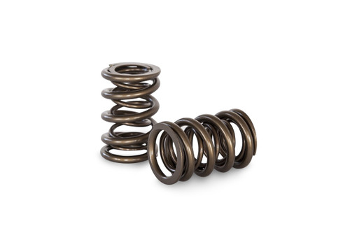 Kelford KVS24 - Race Valve Spring