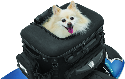 Kuryakyn 5288 - Grand Pet Palace