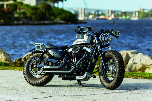 Kuryakyn 6683 - Dillinger Skid Plate Silver