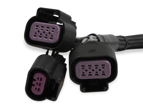 MSD 87311 - Digital 2-Step Rev Control