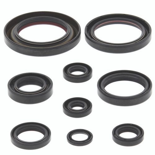 QuadBoss 564171 - 06-14 Honda TRX450ER Oil Seal Set