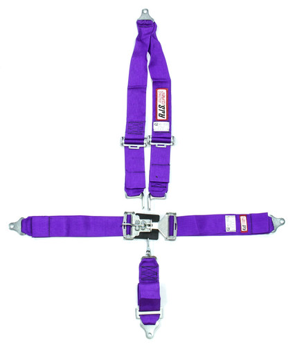 RJS Safety 1126208 - 5 PT Harness System PL Roll bar MT 3IN Sub