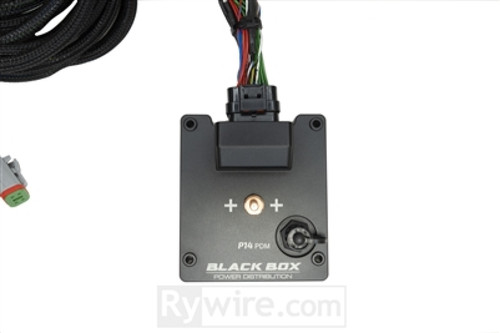Rywire RY-CHASSIS-HONDA-P14 - P14 PDM Honda Chassis Harness Kit (Drop Ship Only Note PO w/Model for Head/Taillight Adaptor)