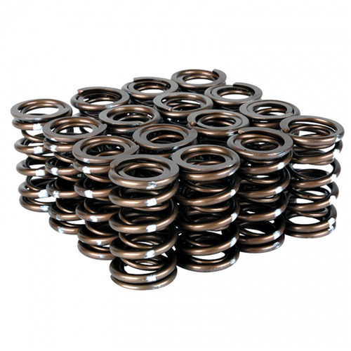 Skunk2 311-05-7350 - Pro Series Honda/Acura B-Series VTEC XP Valve Spring Set (Dual Springs)