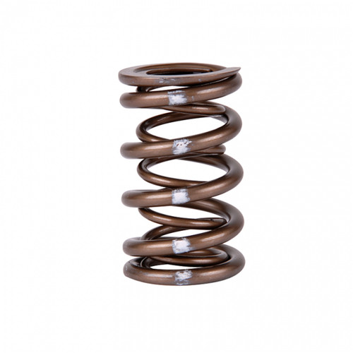 Skunk2 311-05-7350 - Pro Series Honda/Acura B-Series VTEC XP Valve Spring Set (Dual Springs)
