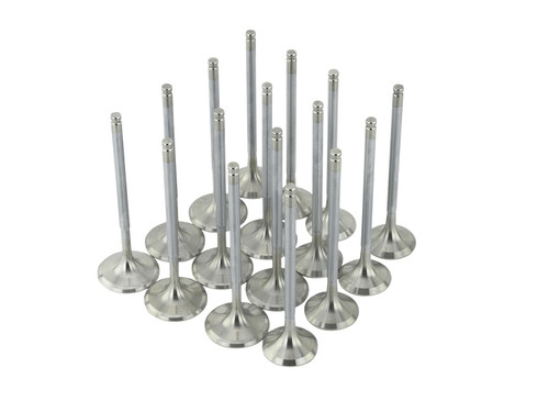 Skunk2 310-05-1310 - Alpha Series Honda/Acura Stock Size B Series VTEC Valve (Standard Compression)