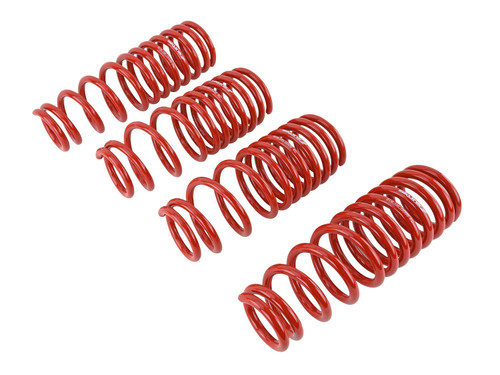 Skunk2 519-05-1550 - 96-00 Honda Civic Lowering Springs (2.50in - 2.25in.) (Set of 4)