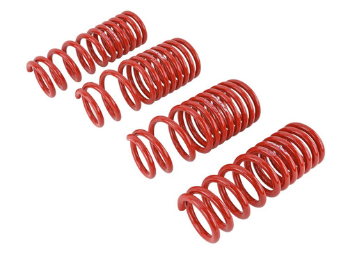 Skunk2 519-05-1650 - 88-91 Honda Civic/CRX Lowering Springs (2.50in - 2.25in.) (Set of 4)