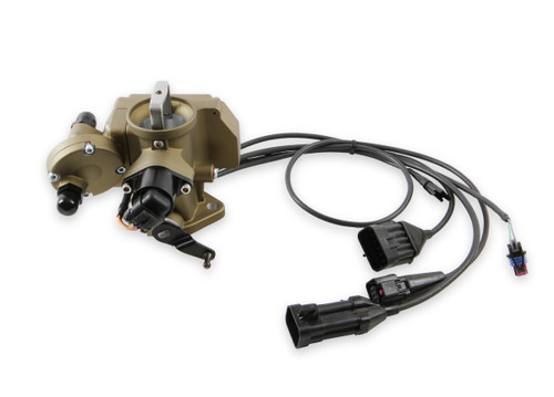 Sniper 550-552 - Holley  EFI Autolite 1100 - Classic Gold