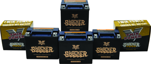 TwinPower 781232 - Twin Power YTX-14L Shocker Gel Battery Replaces H-D 65958-04 220 CCA