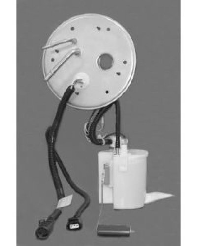 Walbro TU262-1 - TANK UNIT ASSEMBLY