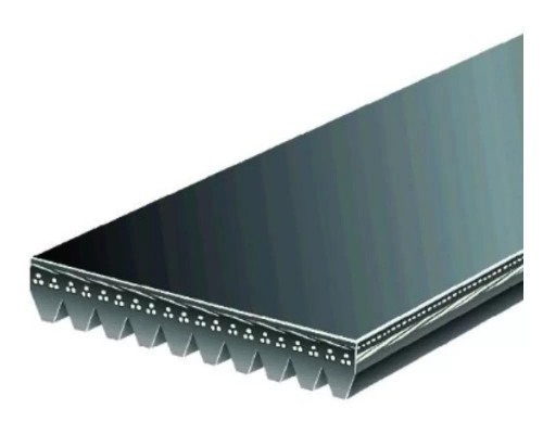 Whipple WB-100891 - 10-Rib Belt 89.1"