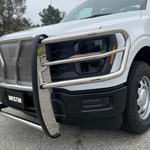 Westin 57-4060 - 21-22 Ford F-150 (Excl. Raptor/Platinum) HDX Grille Guard - SS