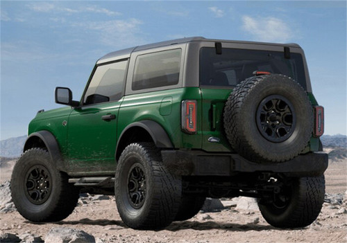 Ford Racing M-16450-BHS2 - Bronco Off-Road Hoop Steps