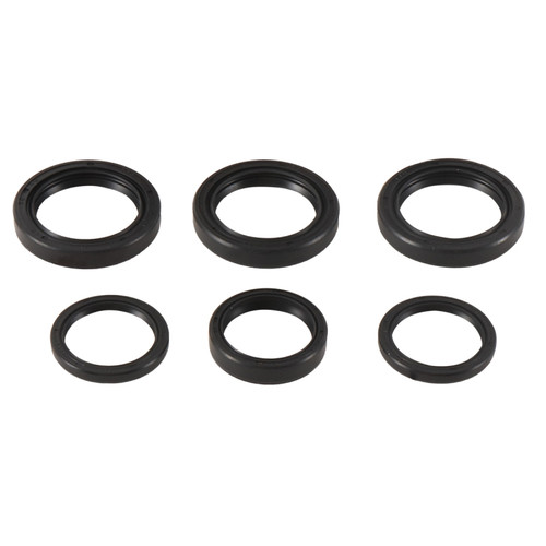 All Balls Racing 25-2065-5 - 06-07 Polaris Hawkeye 4x4 Differential Seal Only Kit Front