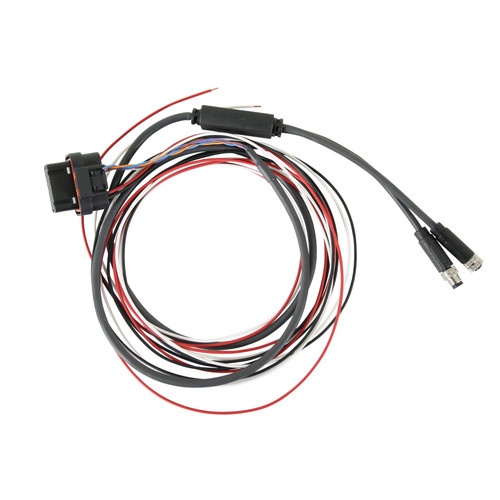 Holley EFI 558-486 - EFI Pro Dash M8 Service Harness