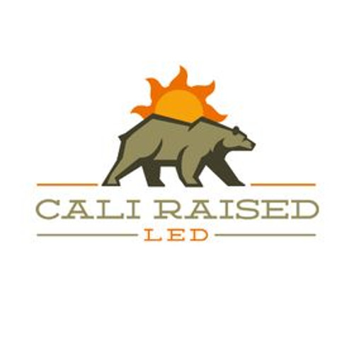 Cali Raised LED CR4339 - Cali Raised 2024+ Toyota Tacoma Bolt-On Bull Bar For Stealth Bumper
