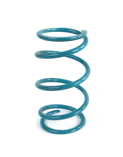 EPI PEBS30 - 16-22 Polaris RZR XP Turbo/S/4/ RZR RS1 Secondary Spring Teal