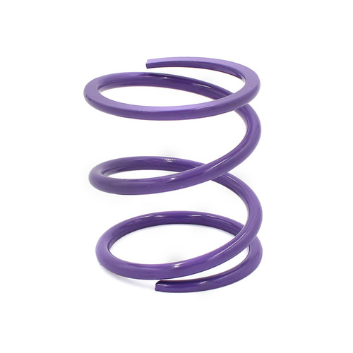 EPI POLHD2 - 24+ Polaris RZR XP 1000/ Xpedition XP/ADV Primary Clutch Spring Purple