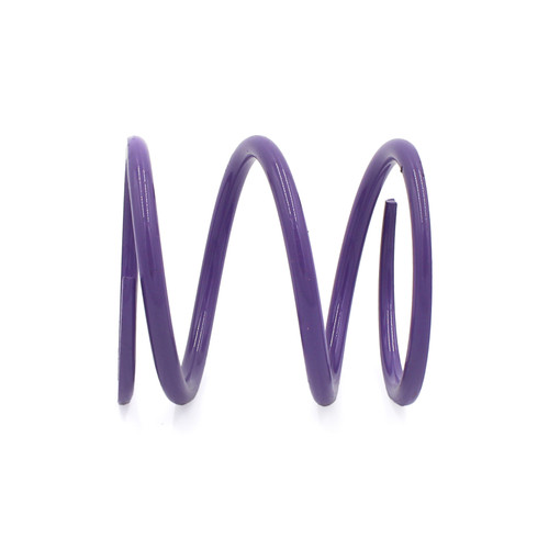 EPI POLHD2 - 24+ Polaris RZR XP 1000/ Xpedition XP/ADV Primary Clutch Spring Purple