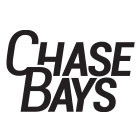 Chase Bays CB-U-BAPSR-003 - Triple Baffled Power Steering Reservoir w/Type 3 Bracket / -6AN and -10AN Fittings