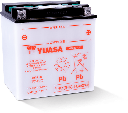Yuasa Battery YUAM22H30TWN - Yuasa YB30L-B Yumicron CX 12-Volt Battery