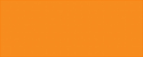 AllStar Performance ALL22244 - Aluminum Vib Orange/Vib Orange 4x10