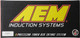AEM Induction 21-8213DP - AEM Brute Force Intake System B.F.S.300/MAGNUM/CHARGER 3.5L