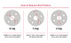 Baer Brakes 4301112S - Brake System 14 Inch Front Extreme+ Silver 04 Pontiac GTO