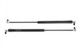 GrimmSpeed 097035 - Hood Struts HIgh Lift For Subaru/Toyota BRZ/GR86 2022