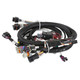 Holley EFI 558-112 - Terminator® Throttle Body Harness