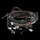 Holley EFI 558-129 - EFI Gen V LT Engine Main Harness