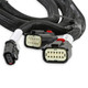 Holley EFI 558-221 - EFI GM GEN V GDI Sub Harness