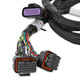 Holley EFI 558-221 - EFI GM GEN V GDI Sub Harness