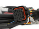 Holley EFI 558-461 - Drive-By-Wire Throttle Body Harness