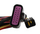 MSD 77643 - Power Grid Power Module