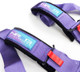 NRG SBH-B6PCPP - SFI 16.1 5Pt 3 Inch Seat Belt Harness with Pads / Cam Lock - Purple