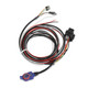 Racepak 250-DS-123 - 12.3" Display