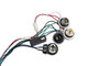 Raxiom 49143 - 96-04 Ford Mustang Excluding 99-01 Cobra Sequential Tail Light Kit (Plug-and-Play Harness)