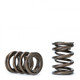 Skunk2 311-05-1380 - Tuner Series Honda/Acura (K20/K24/F20C/F22C) DOHC VTEC Alpha Valve Spring Set (Dual Springs)