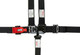 Simpson Safety 3B22PIKX - Simpson D3 Off-Road Recreational Harnesses
