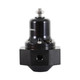 Sniper 19-395 - EFI Fuel Regulator 8AN