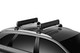 Thule 732508 - SnowPack Extender Slide-out Ski/Snowboard Rack (Up to 6 Pair Skis/4 Snowboards) - Black