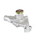 Weiand 9208 - Action +Plus Water Pump