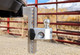 Weigh Safe WS10-2.5 - 10in Drop Hitch w/Built-in Scale & 2.5in Shank (10K/18.5K GTWR) - Aluminum