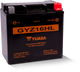 Yuasa Battery YUAM716GHL - Yuasa GYZ16HL High Performance Maintenance Free AGM 12-Volt Battery